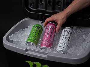 Sugar-Free 16oz Energy Drink (15 Cans)